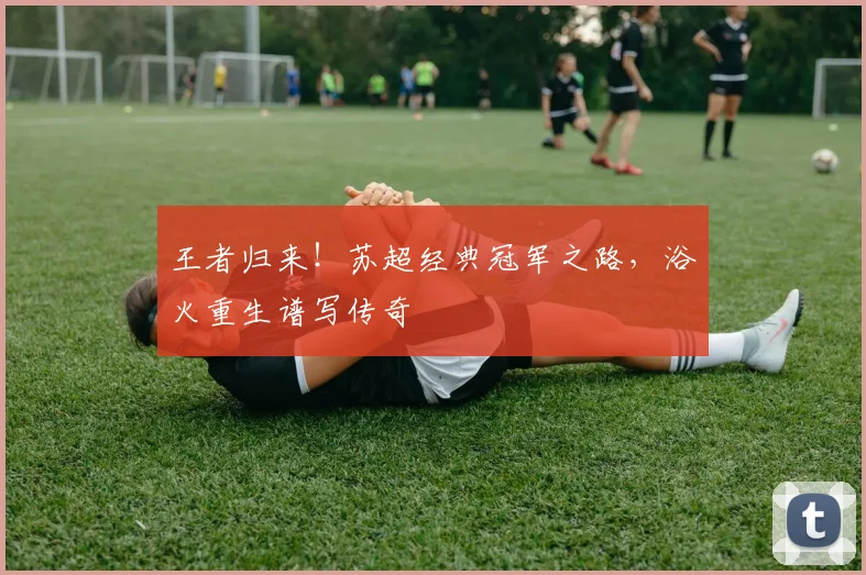 王者归来！苏超经典冠军之路，浴火重生谱写传奇