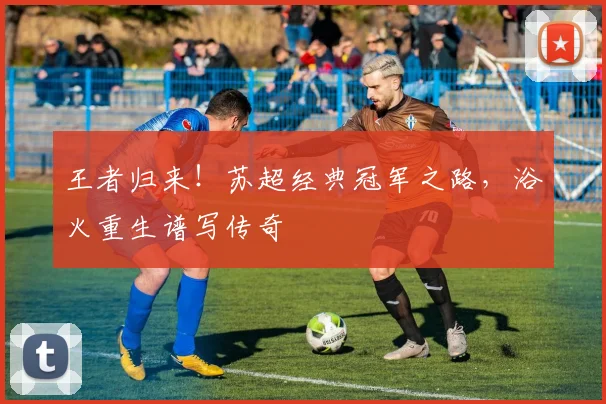 王者归来!苏超经典冠军之路,浴火重生谱写传奇
